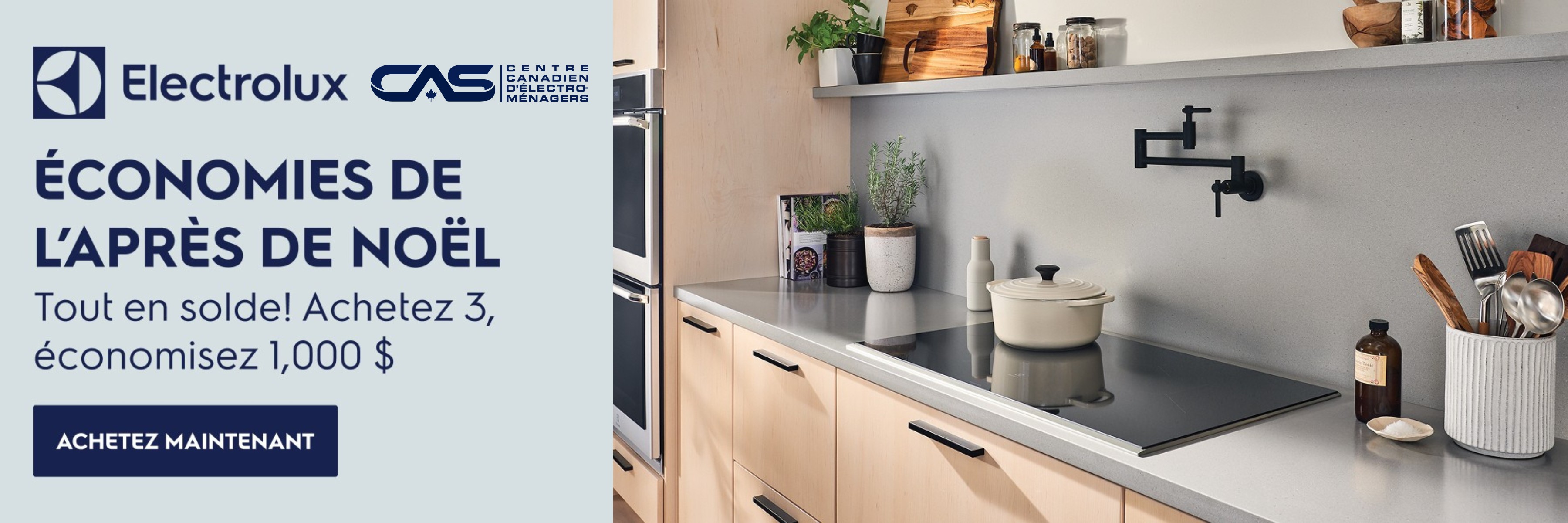 Promotion électroménagers Electrolux